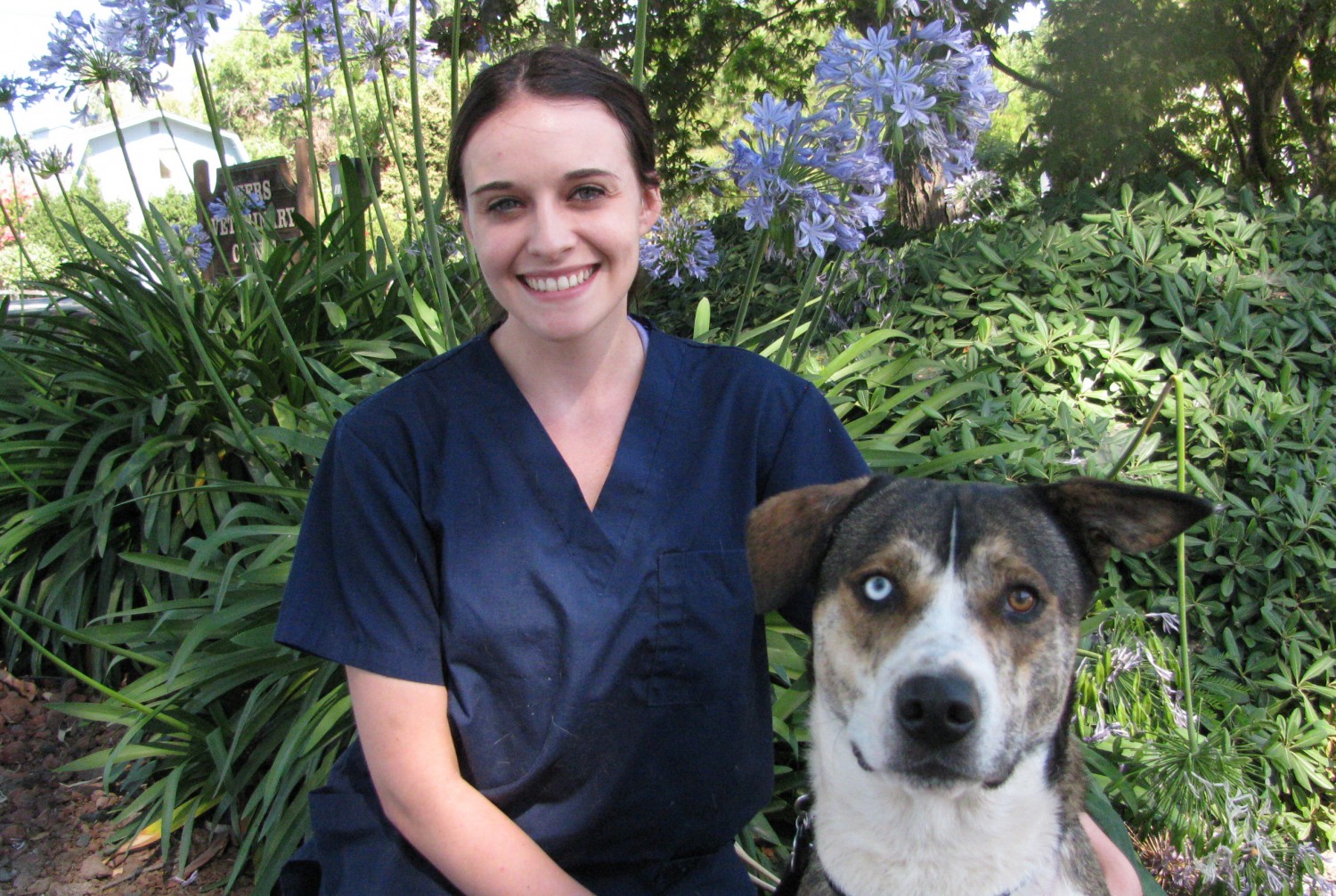 Evers Veterinary Clinic / Our Staff